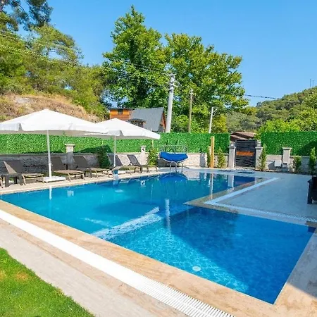 וילה Detached With Private Pool In Inlice